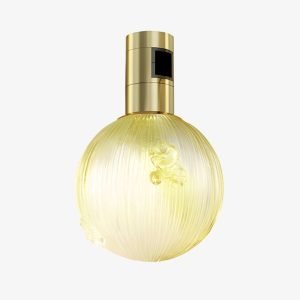48V Bubble Globe Magnetic Light with textured spherical diffuser and brass-gold magnetic adapter