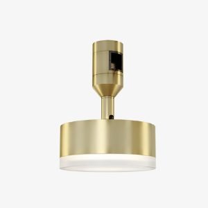 Drum Magnetic Light with circular diffuser, brass-gold body and 48V magnetic track adapter