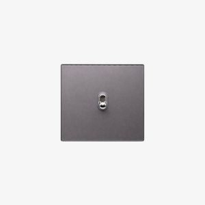 Luna 1-Gang Toggle Switch